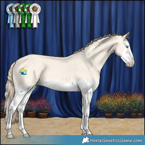 Horse Color:Perlino Dun Splash Rabicano 