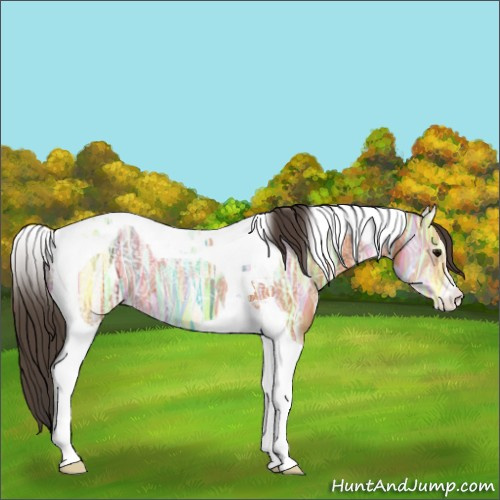 Horse Color:Bay Ice Tobiano
