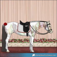 Horse Color:Bay Ice Tobiano