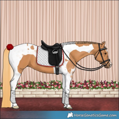 Horse Color:Chestnut Tobiano