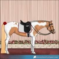 Horse Color:Chestnut Tobiano 