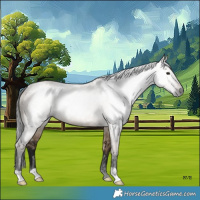 Horse Color:Gray Brown Dun 