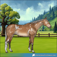 Horse Color:Gray White Spotted Silver Bay Dun Tobiano