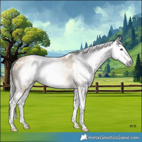 Horse Color:Gray White Spotted Buckskin Dun Splash Frame Rabicano