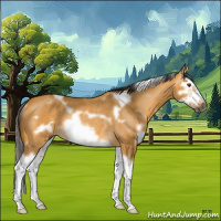 Horse Color:Gray White Spotted Buckskin Dun Splash Frame Rabicano
