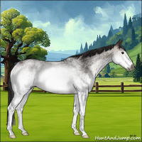 Horse Color:Gray White Spotted Brown Dun Rabicano 
