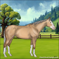 Horse Color:Gray Silver Amber Champagne Dun Splash