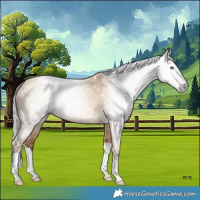 Horse Color:Gray Silver Amber Champagne Dun Splash 