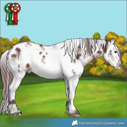 Horse Color:White Spotted Chocolate Brown Splash Tobiano 
