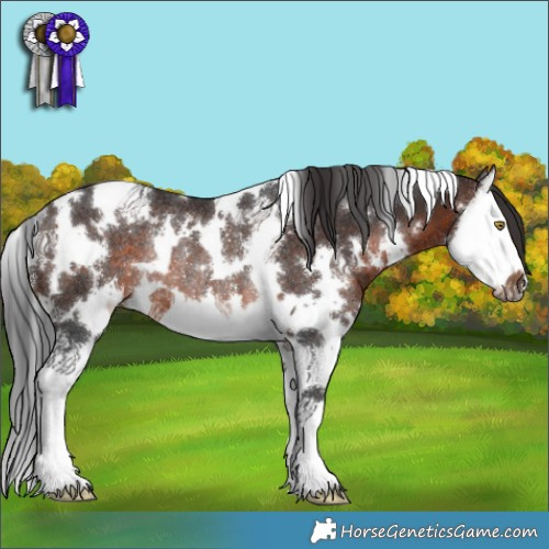 Horse Color:White Spotted Brown Splash Rabicano 