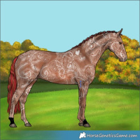 Horse Color:Painted Chestnut Ice 