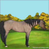 Horse Color:Brown Roan Dun 