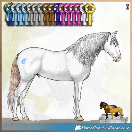 Horse Color:Classic Champagne Dun Sabino Tobiano Appaloosa Rabicano 