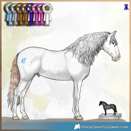 Horse Color:Classic Champagne Dun Sabino Tobiano Appaloosa Rabicano 