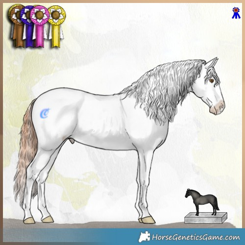 Horse Color:Classic Champagne Dun Sabino Tobiano Appaloosa Rabicano 