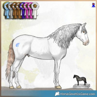 Horse Color:Classic Champagne Dun Sabino Tobiano Appaloosa Rabicano 