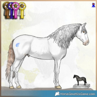 Horse Color:Classic Champagne Dun Sabino Tobiano Appaloosa Rabicano 