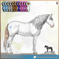 Horse Color:Classic Champagne Dun Sabino Tobiano Appaloosa Rabicano 
