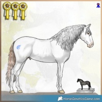 Horse Color:Classic Champagne Dun Sabino Tobiano Appaloosa Rabicano 