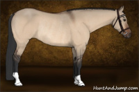 Horse Color:Brown Dun Rabicano
