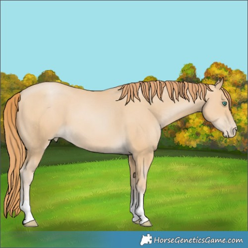 Horse Color:Smoky Black Pearl 