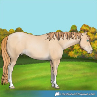 Horse Color:Smoky Black Pearl