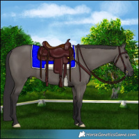 Horse Color:Smoky Grullo 