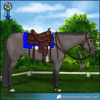 Horse Color:Smoky Grullo 