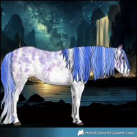 Horse Color:Watercolor Bay Sabino 