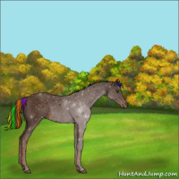 Horse Color:Painted Liver Chestnut 