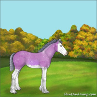 Horse Color:Watercolor Bay Splash 