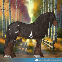 Horse Color:White Spotted Liver Chestnut 