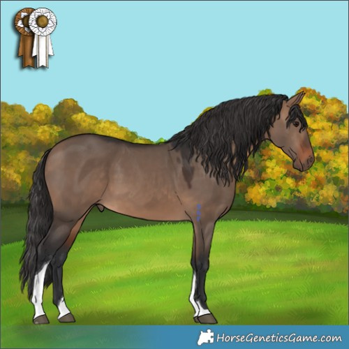 Horse Color:Brown Dun Tobiano 