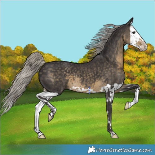 Horse Color:Silver Smoky Black Splash 