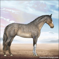 Horse Color:Chocolate Palomino Roan 