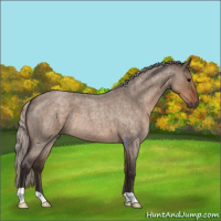Horse Color:Silver Brown Roan Dun 