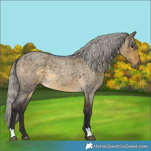 Horse Color:Silver Buckskin Roan Dun 