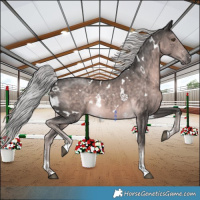 Horse Color:Platinum White Spotted Chocolate Palomino 