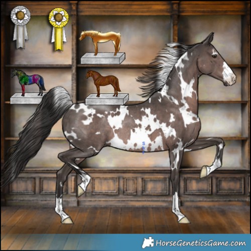 Horse Color:Platinum White Spotted Liver Chestnut Rabicano 