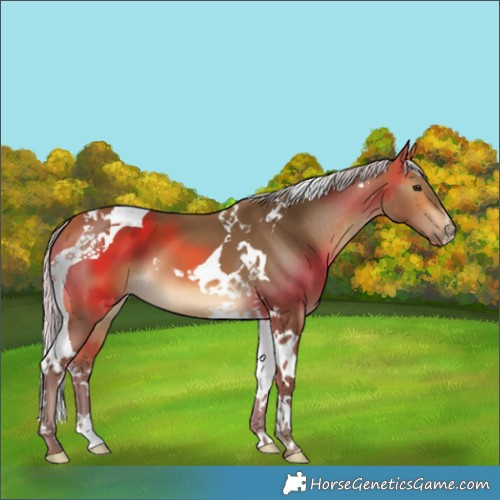 Horse Color:Silver Buckskin Tobiano 