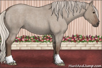 Horse Color:Silver Grullo Roan 