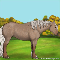 Horse Color:Silver Grullo 