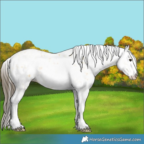 Horse Color:Buckskin Sabino 