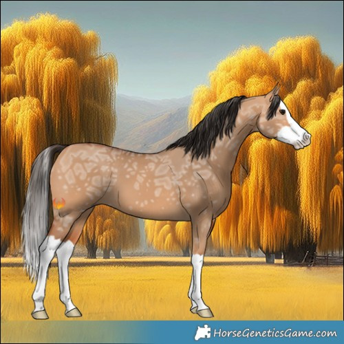 Horse Color:Bay Ice Dun Splash 