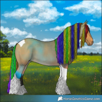 Horse Color:Painted Buckskin Tobiano 