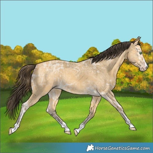 Horse Color:Amber Cream Champagne Ice 