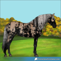 Horse Color:Void Silver Bay Dun Sabino Splash 