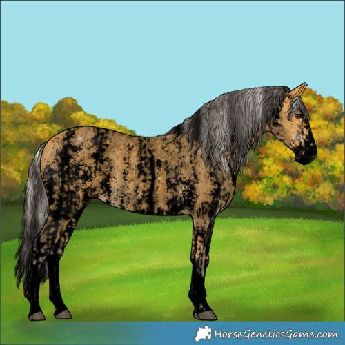 Horse Color:Void Silver Buckskin Roan Splash  and Void Buckskin Sabino Splash 