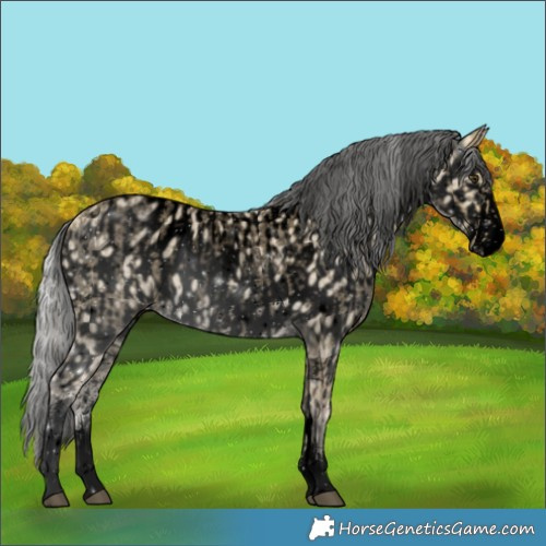 Horse Color:Void Silver Buckskin Roan Sabino and Void Silver Amber Cream Champagne Sabino Appaloosa