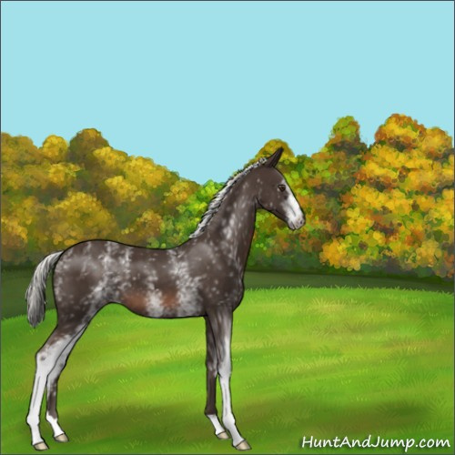 Horse Color:White Spotted Liver Chestnut Mushroom 